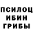 Псилоцибиновые грибы MAGIC MUSHROOMS Fara Mamadjanov