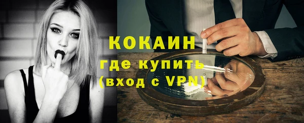 ALPHA PVP Осинники