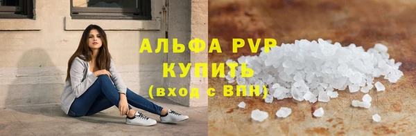 прущие грибы Осташков