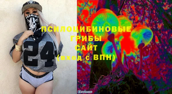 ГАЛЛЮЦИНОГЕННЫЕ ГРИБЫ Нязепетровск