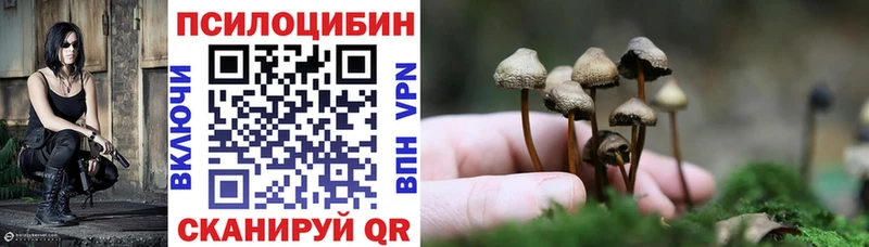 Галлюциногенные грибы Psilocybine cubensis Бахчисарай