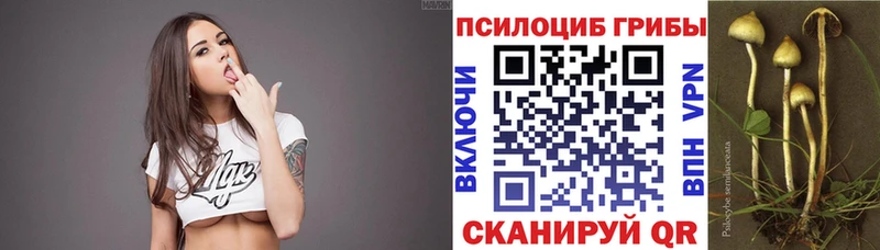 Галлюциногенные грибы Magic Shrooms Бахчисарай