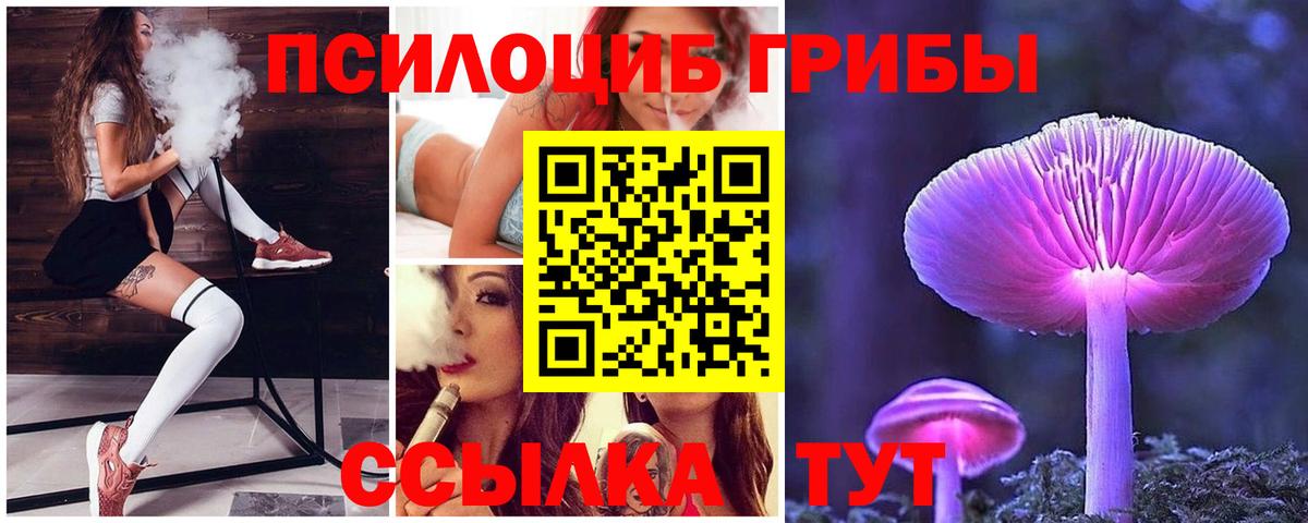 Галлюциногенные грибы MAGIC MUSHROOMS  Бахчисарай  Галлюциногенные грибы мухоморы 